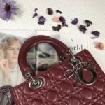 Фото сумки Lady Dior Small F3700