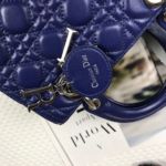 Фото сумки Lady Dior Small F3703