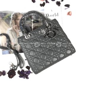 Фото сумки Lady Dior Small F3699