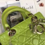 Фото сумки Lady Dior Small F3707