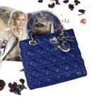 Фото сумки Lady Dior Small F3704