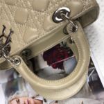 Фото сумки Lady Dior Small F3698