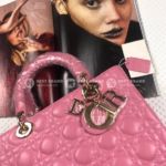 Фото сумки Lady Dior Small F3711