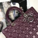 Фото сумки Lady Dior Large F3692