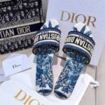 фото Шлепанцы Dior Q1023