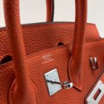 Фото сумки Hermes Birkin 25 F4459