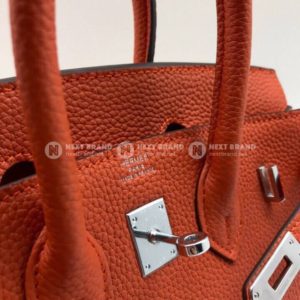 Фото сумки Hermes Birkin 25 F4459