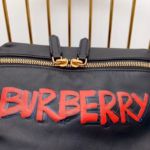 Фото Поясная сумка Burberry Q1334
