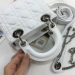 фото Сумка Lady Dior Mini Q4896