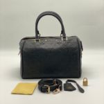 фото Сумка Луи Виттон Speedy Q4917