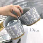 фото Мюли Dior Dway Q5035