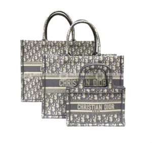 фото Сумка Dior Book Tote Q5108