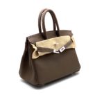 фото Сумка Hermes Birkin 25 Q5083