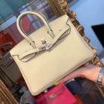 фото Сумка Hermes Birkin 25 Q5085