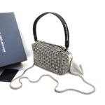 Сумка Alexander Wang Heiress Rhinestone Pouch N7366