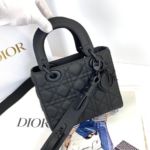 Фото Сумка Lady Dior G4880