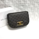 фото Сумка Celine N7541