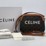 Фото Сумка Celine Triomphe Canvas M3671