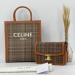 Фото Сумка Celine Triomphe M3594