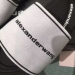 Фото Шлепанцы Alexander Wang V3852