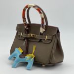 Фото Сумка Hermes Birkin 20 G5663