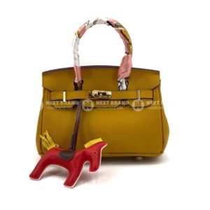 Фото Сумка Hermes Birkin 20 G5666