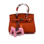 Фото Сумка Hermes Birkin 20 G5667