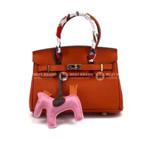 Фото Сумка Hermes Birkin 20 G5667