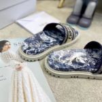 Фото Шлепанцы Dior Dway V4087