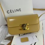 Фото Сумка Celine Triomphe G5841