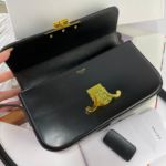 Фото Сумка Celine Triomphe G5839