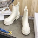 фото Ботинки Dior N8722
