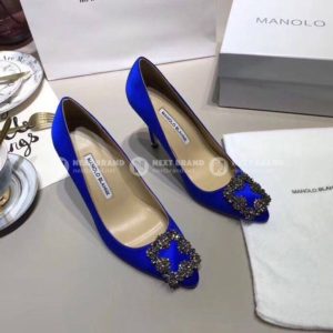 фото Туфли Manolo Blahnik Hangisi N9494