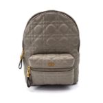 фото Рюкзак Dior N8690