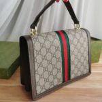 фото Сумка Gucci N10312