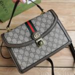 фото Сумка Gucci N10312