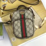 фото Сумка Gucci N9565