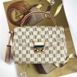 фото Сумка Louis Vuitton N9566