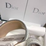 фото Шлепанцы Dior N10049