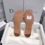 фото Шлепанцы Dior N10049