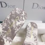 фото Шлепанцы Dior N10049