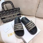 Фото Шлепанцы Dior Dway V5015