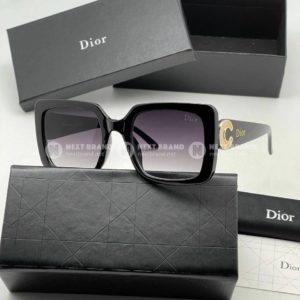 фото Очки Dior N10141