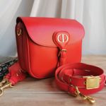 фото Сумка Dior N10348