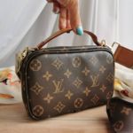 фото Сумка Louis Vuitton N10365