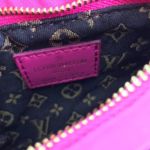 Фото сумки Louis Vuitton Maxi Multi Pochette F10187