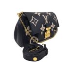 Фото сумки Louis Vuitton Favorite F10169