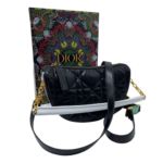 Фото сумки Dior Vibe F10139