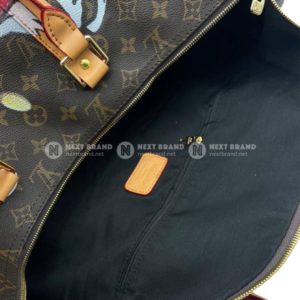 Фото дорожной сумки Louis Vuitton Keepall 45 F10081