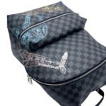 Фото рюкзака Louis Vuitton Discovery F10079